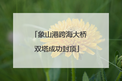 象山港跨海大桥双塔成功封顶